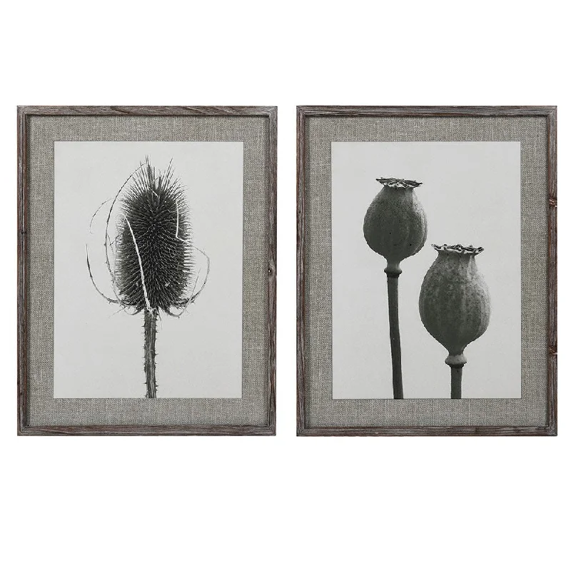 Pair of Poppy and Teasel Glass Framed Art