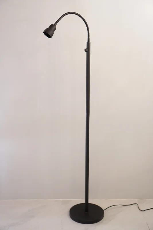 Metal Floor Lamp with a Matte Black Finish for a Sleek LookGooseneck Floor Lamp